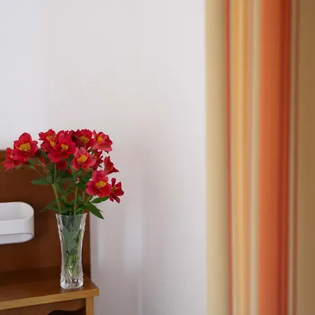 Logis Baratxartea Hotel