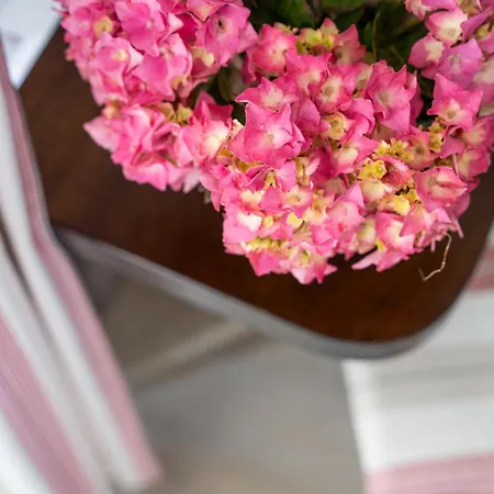 Logis Baratxartea Sare