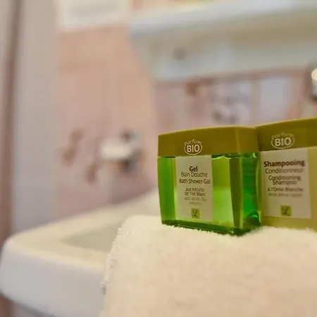 Logis Baratxartea ホテル 2*