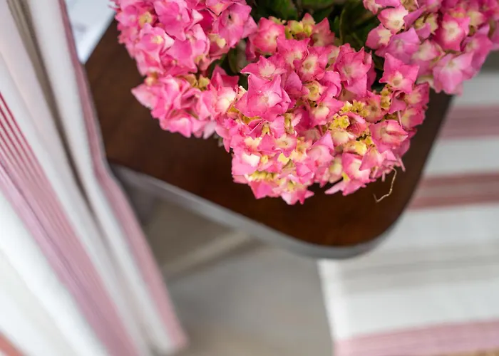 Logis Baratxartea Sare