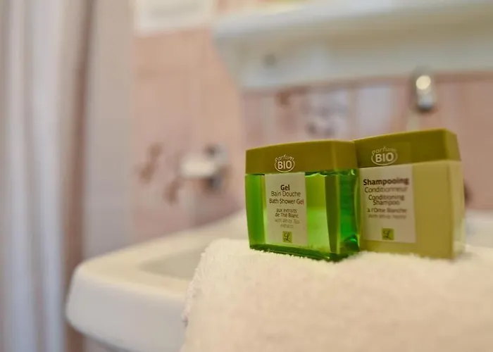 Logis Baratxartea Hotel 2*